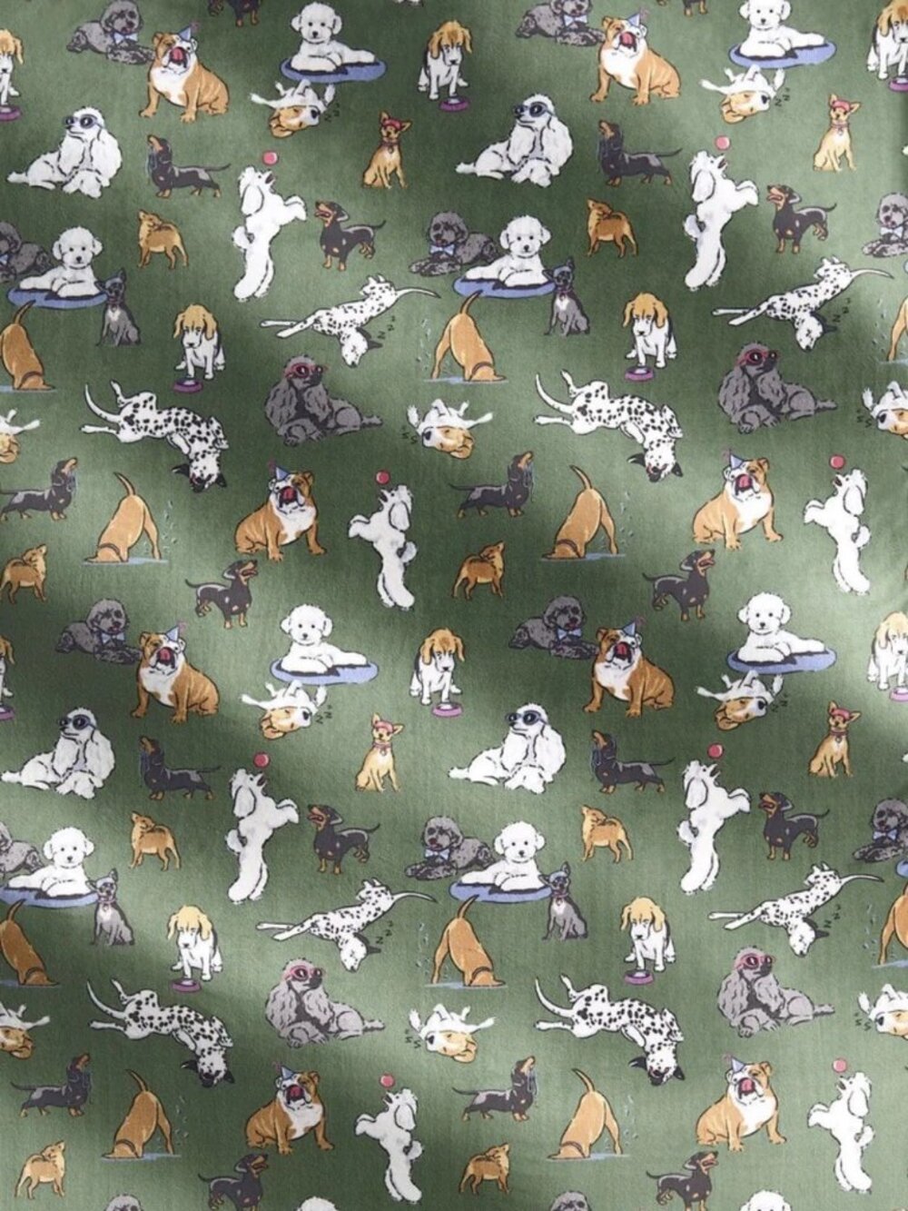 Vera Bradley DOG PARK 50" x 80" Essentials Oversized Throw Blanket Green NWT